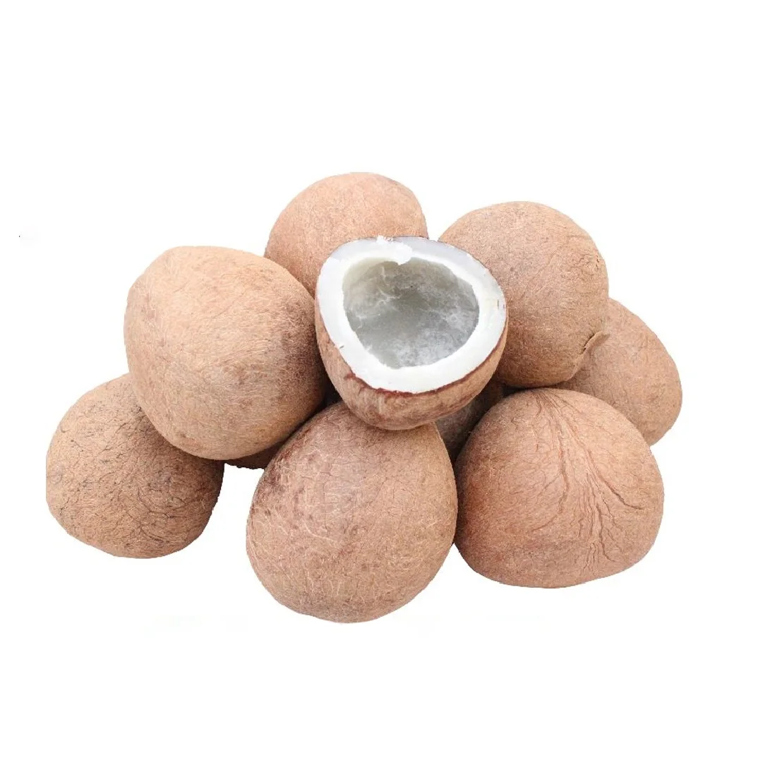 Wholesale Cheap Price 100% High Quality OEM Pure White Copra Coconut Goodness For Your Health And Wellness From Indonesian