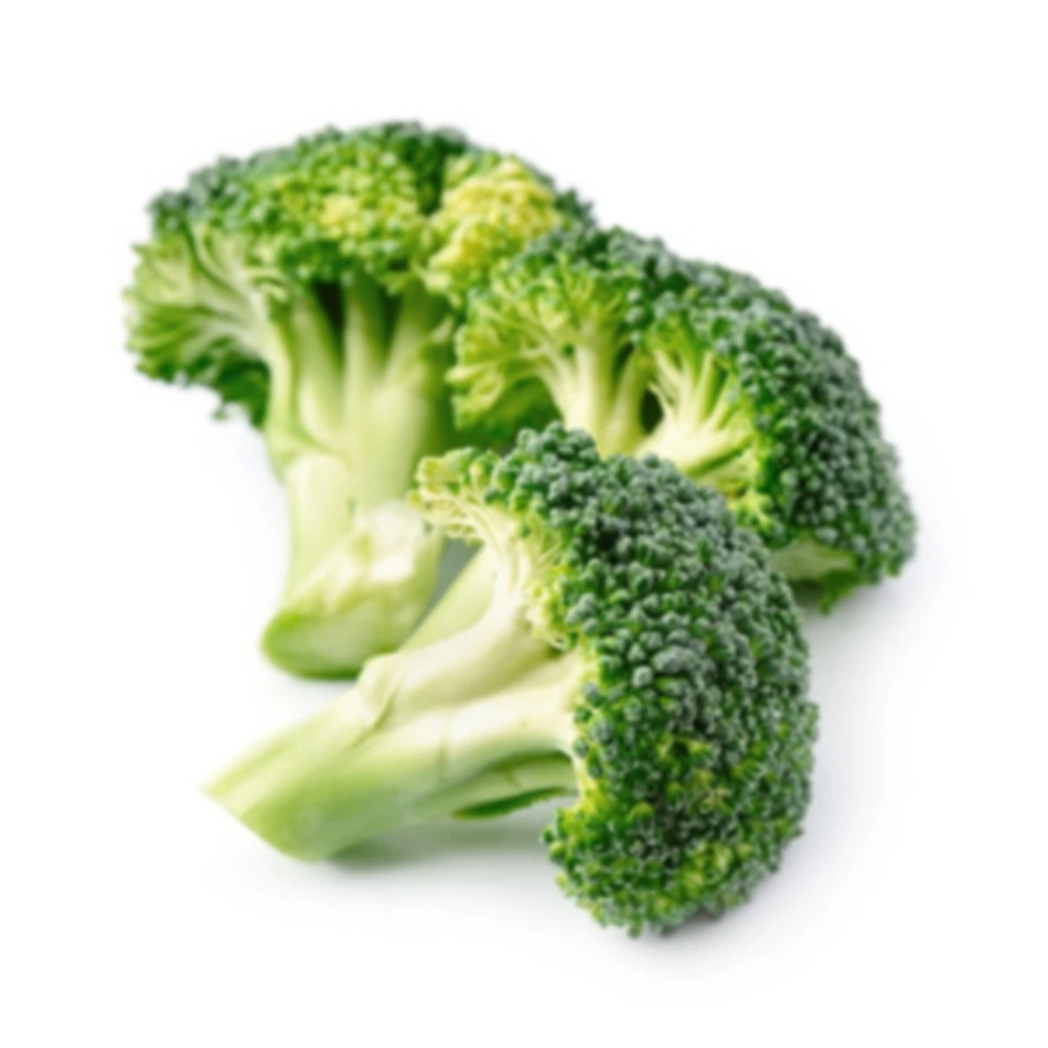Wholesale Natural Fresh Origin Broccoli Vegetable Fresh Broccoli