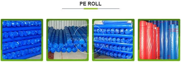DONGMING Rolls.jpg