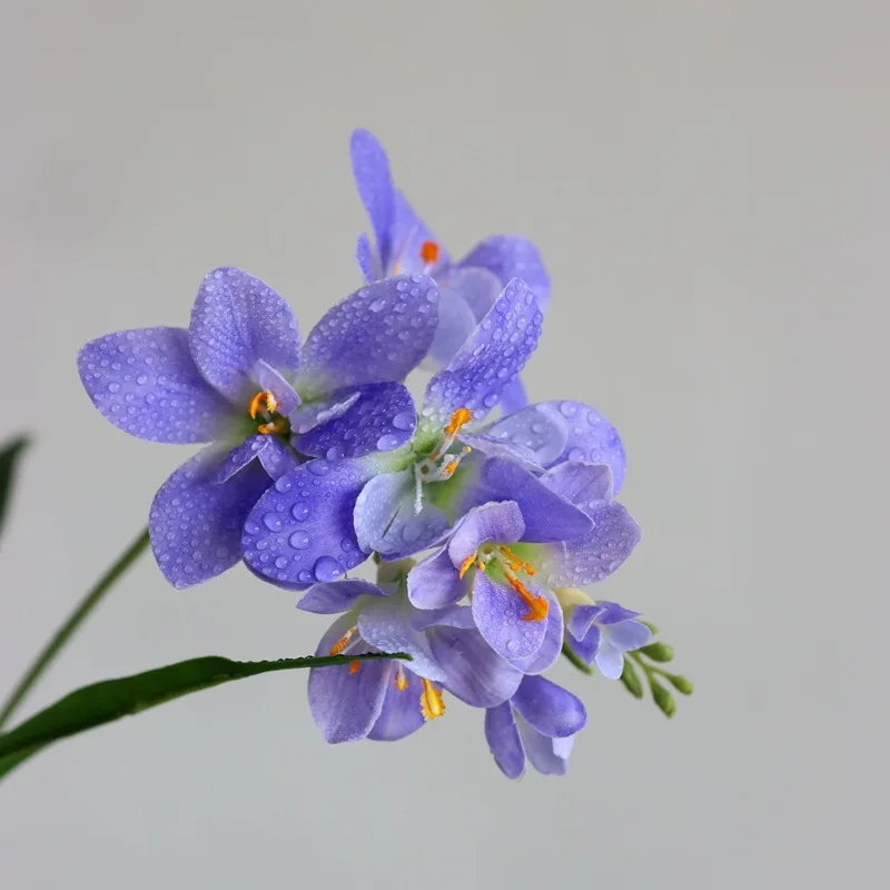 real touch Two-fork feel moisturizing fragrant shenlan Wedding home Arrange flowers potted fasciole Artificial flower orchid