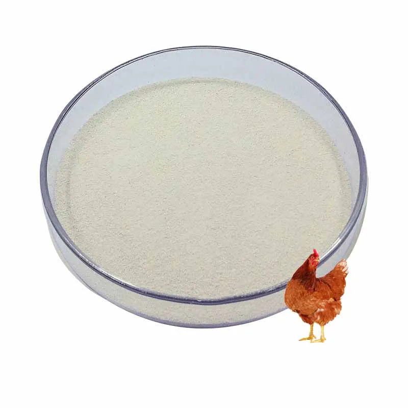 enzyme for cattle thermostable phytase