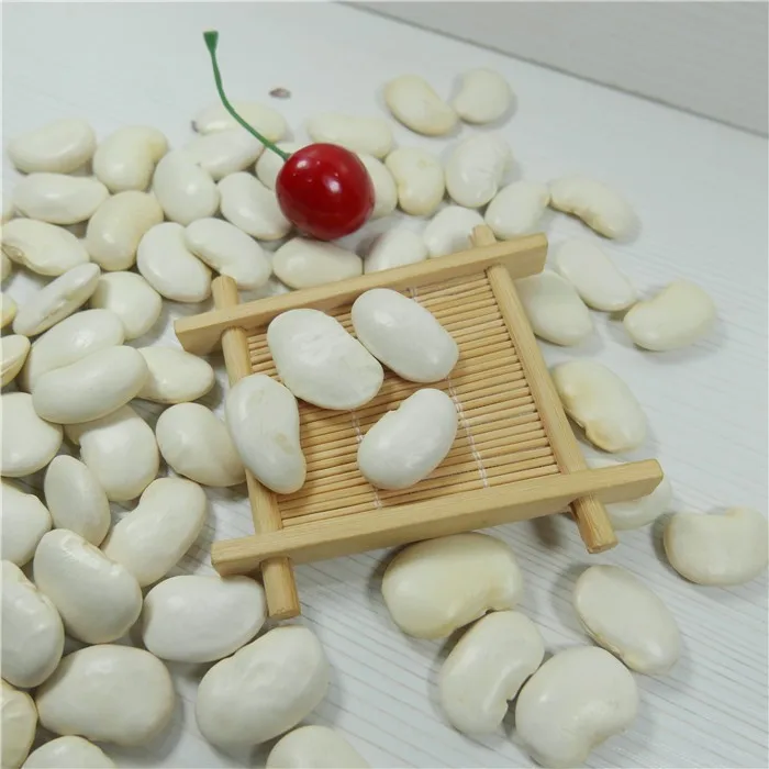 Best Big White Bean Dried White Kidney Bean Sugar Bean