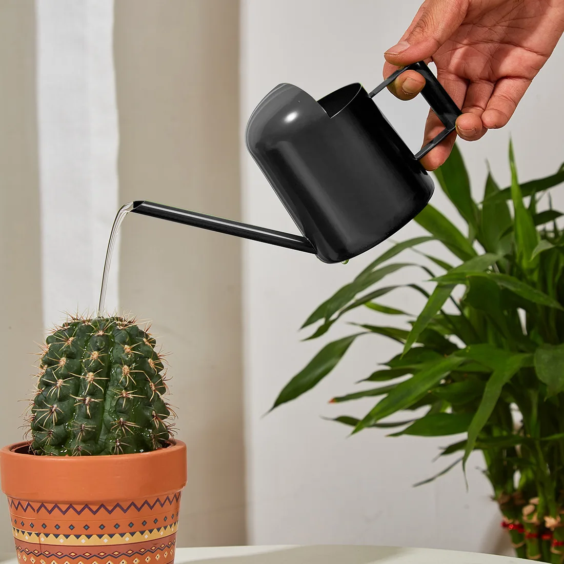 High quality indoor outdoor garden children small watering kettle 300ml black Long Spout stainless steel Watering Can