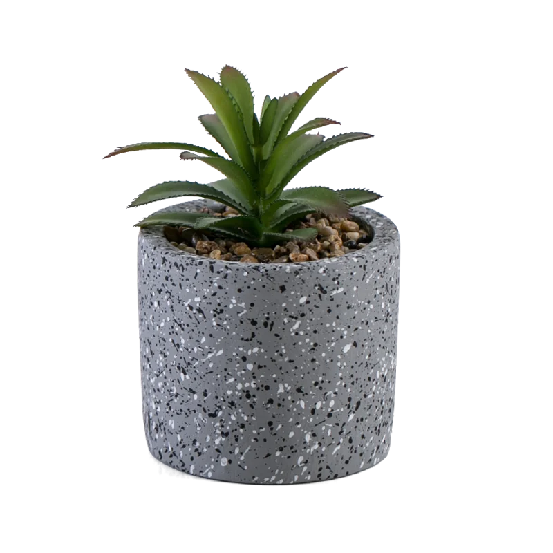 
Natural Custom Home Decor Plastic Succulent Bonsai in Stone Grain Cement Plant Pot for Home Decoration 
