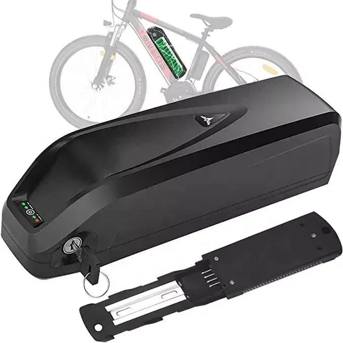 Hailong High power lithium ion battery 48V 1000W for electric bike 36v 52v 60v 72v 20ah 40ah Lithium Ebike Battery Pack