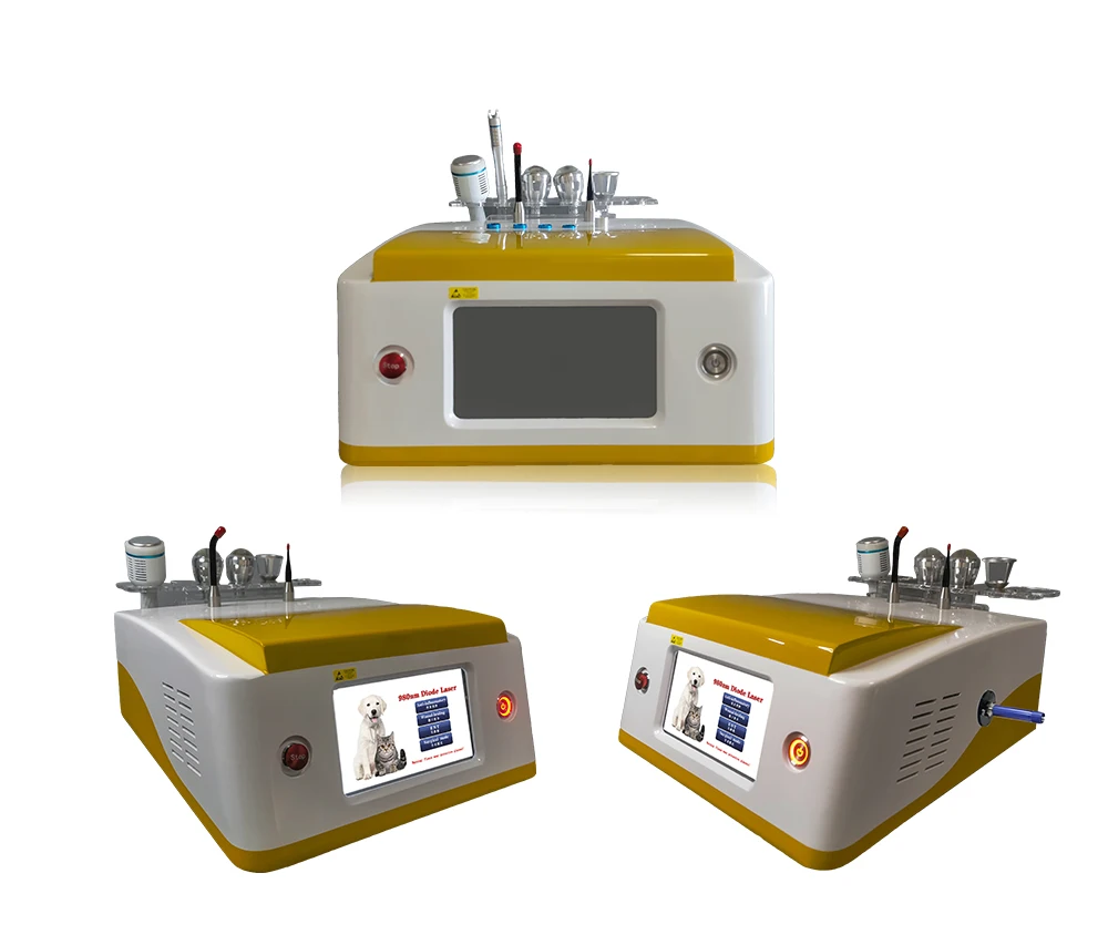 top sales professional portable veterinary equipment for animal laser therapy and animal laser treatment