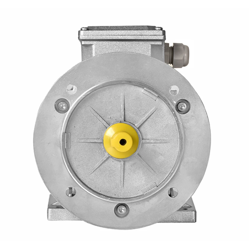 MS132S-4-5.5KW 1000rpm 4-pole 3-phase Copper Wire Aluminum Housing Induction Asynchronous MS Motor