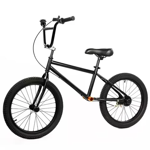 High Performance 20-Inch BMX Bicicleta with Cr-Mo Frame Aluminum & Steel Fork V Brake Disc Brake Children Dirt Jump Application