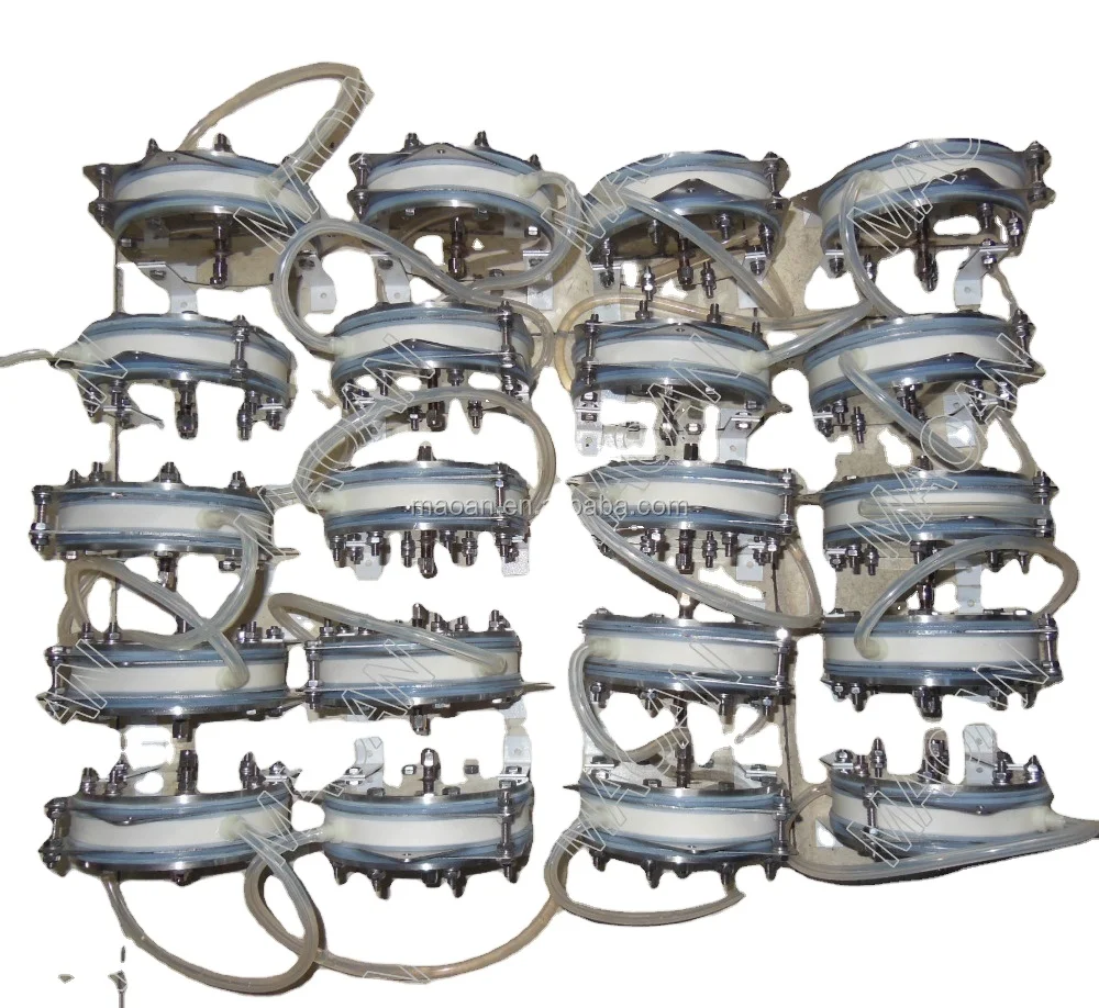 SPE Proton exchange membrane pem water Electrolyzer hydrogen electrolyzer 0--600ml/min