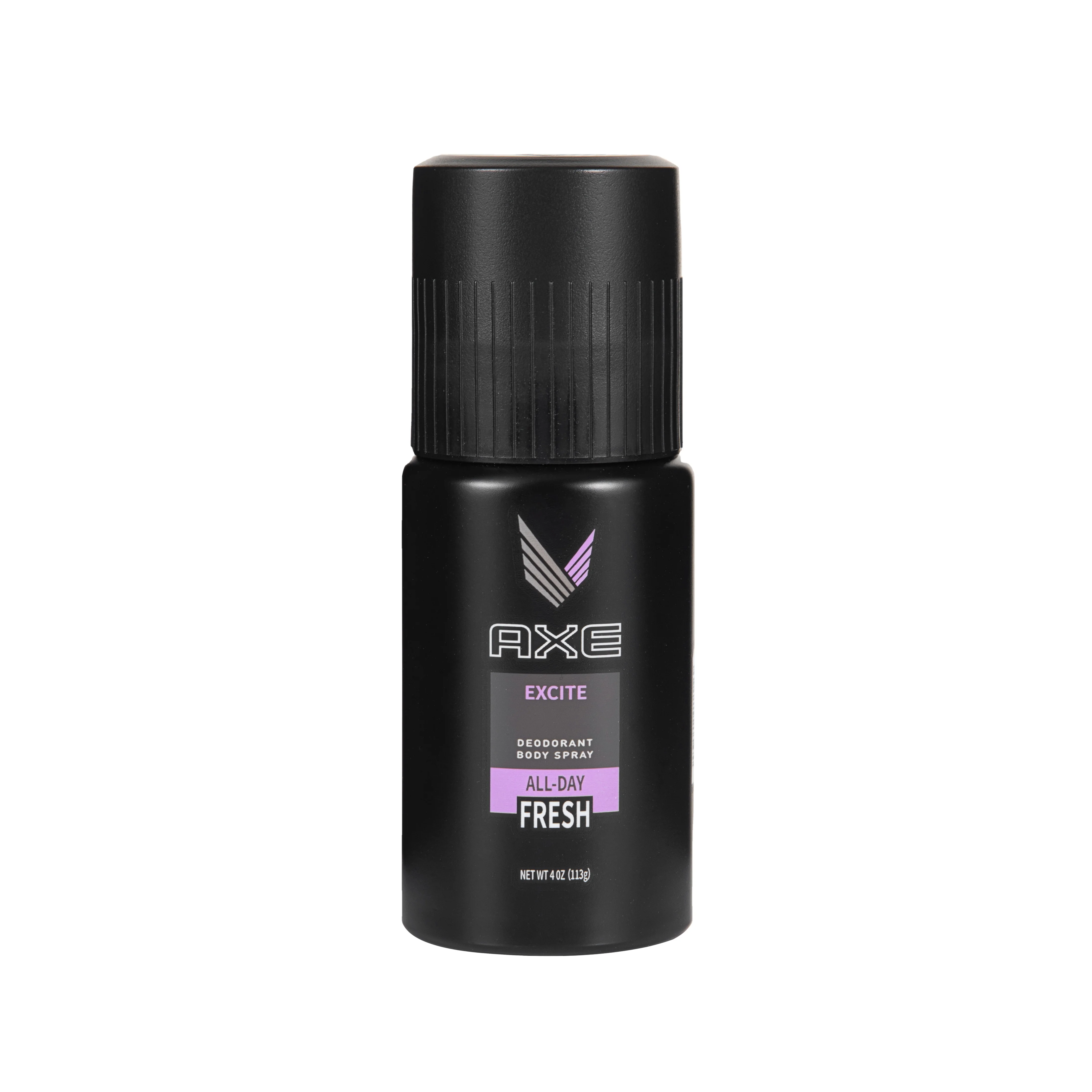 AXE Spray Can Diversion Safe Stash Hidden Storage with Smell Proof Bag