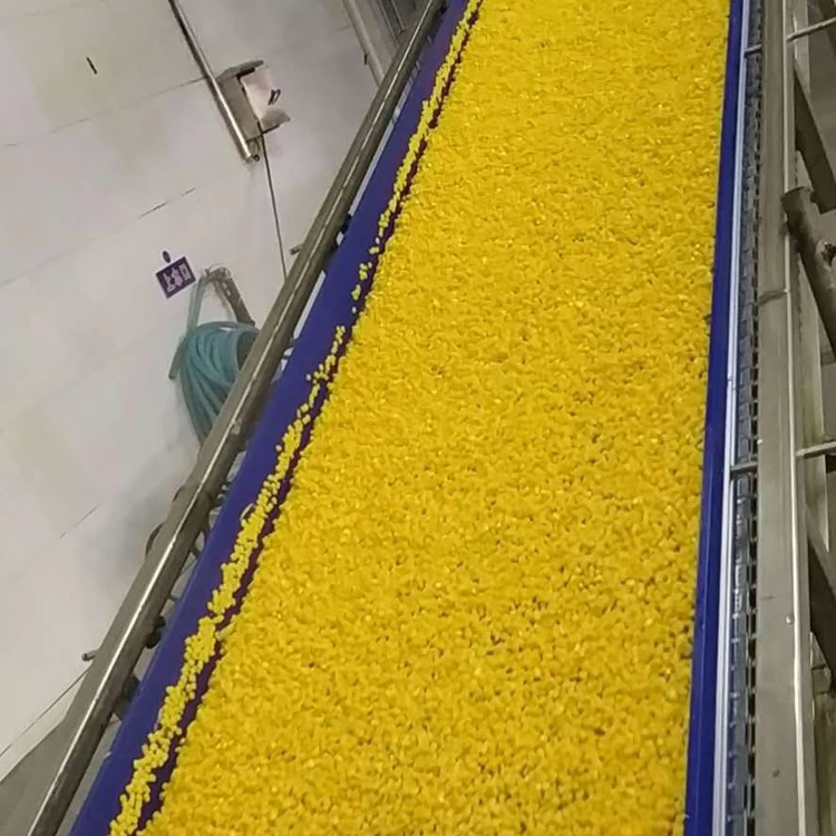 Professional manufacturer wholesale  Frozen Organic sweet corn kernel