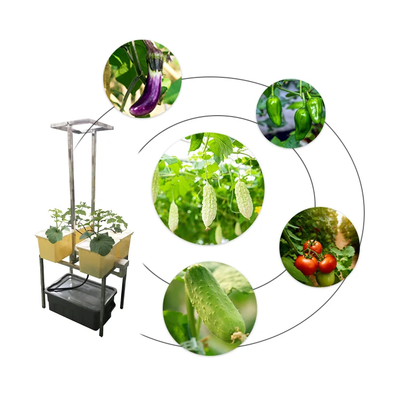 Upgrade tomato eggplant aeroponic system growing hydroponic grow buckets