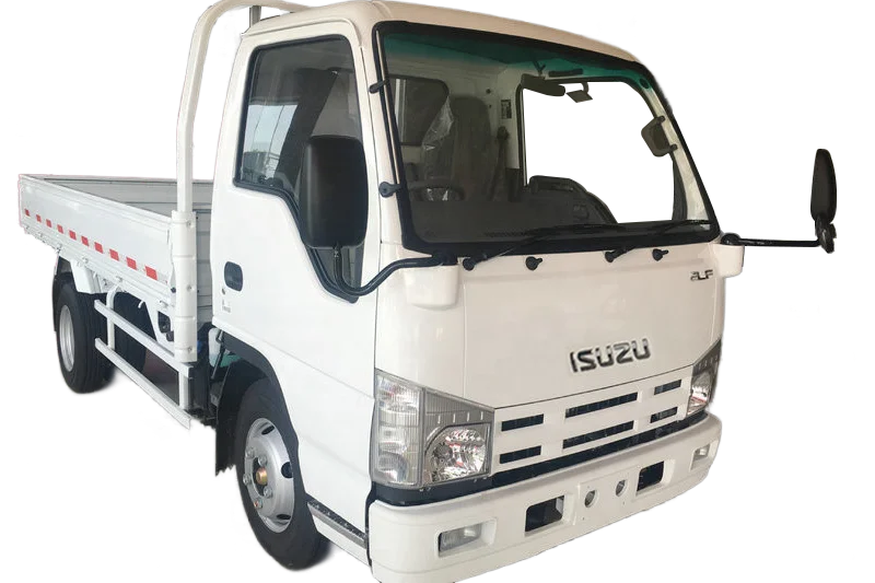 ISUZU 100P 4x2 3ton 4ton Single Cab elf small light duty lorry cargo truck
