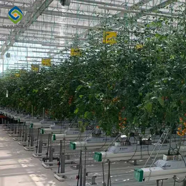 Высококачественная конструкция каркаса из поликарбоната Sainpoly Morden для коммерческого сельского хозяйства