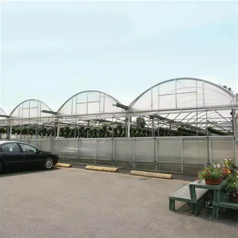 
tomato greenhouse structure greenhouse for mushroom 