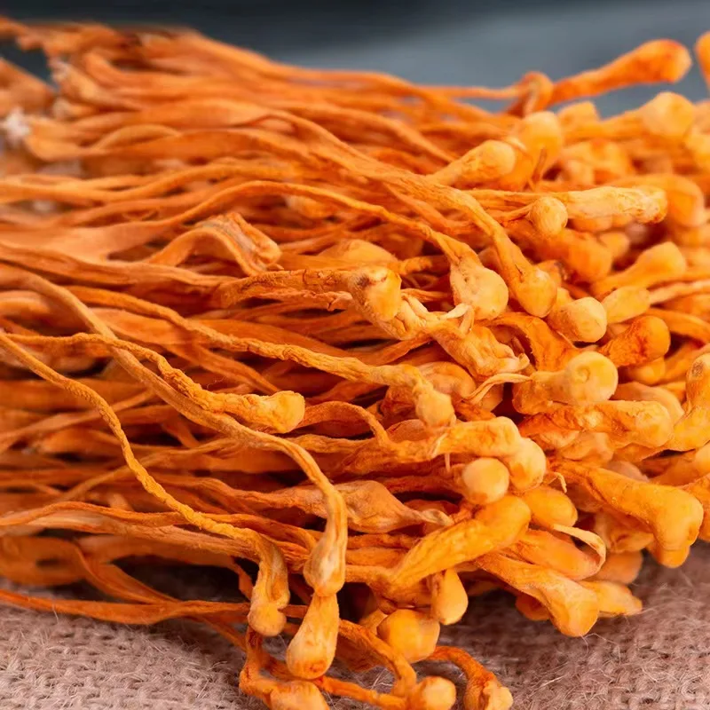 HUAOU Wholesale Chinese  Fungus High Quality Low Price Dried Cordyceps