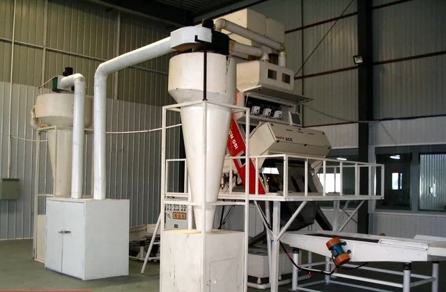 
Pharmaceris top quality goji berry The Tibetan dried black wolfberry 