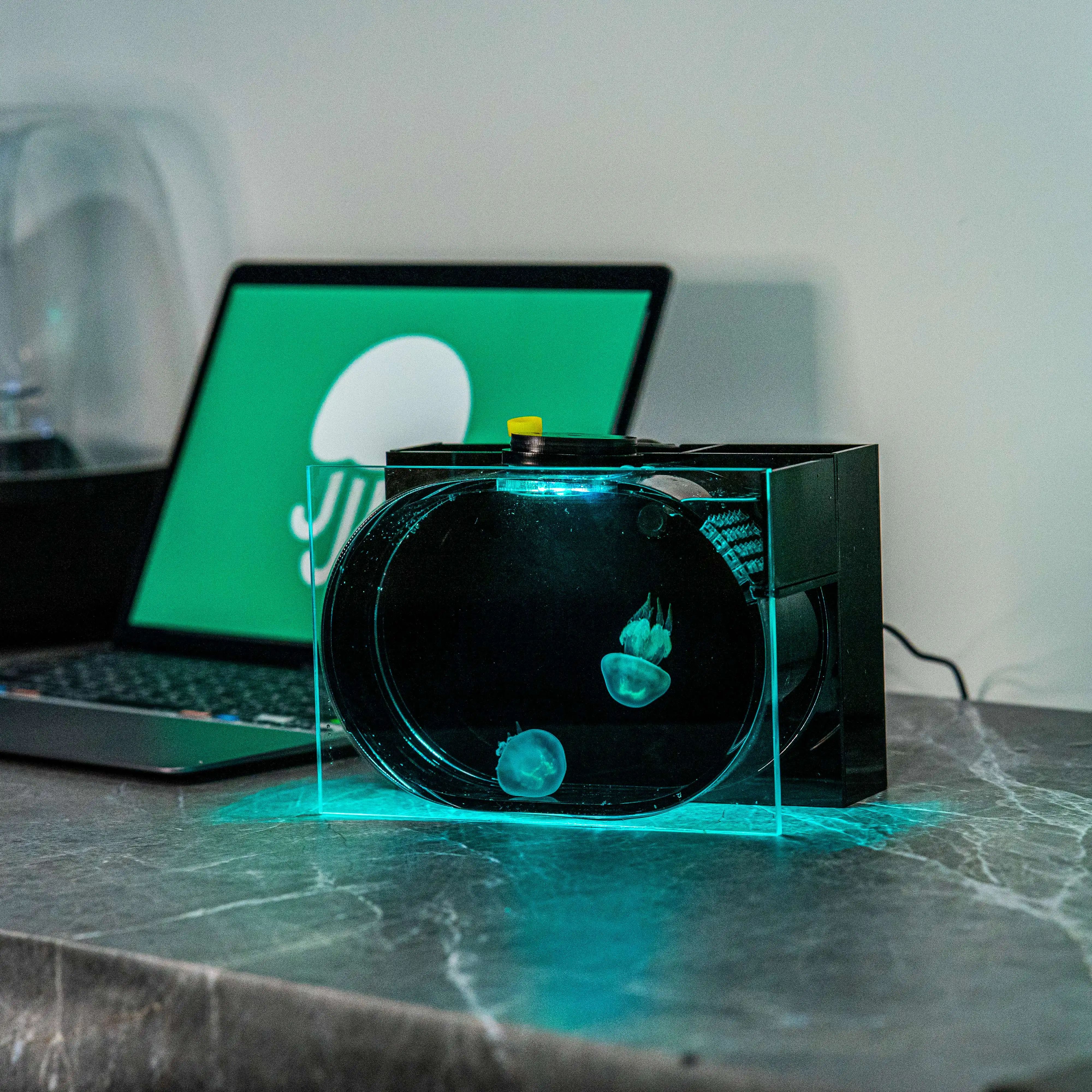 Tabletop viewing small aquarium simple Small fish breeding tank Transparent fish tank fish aquarium tank Aquariums