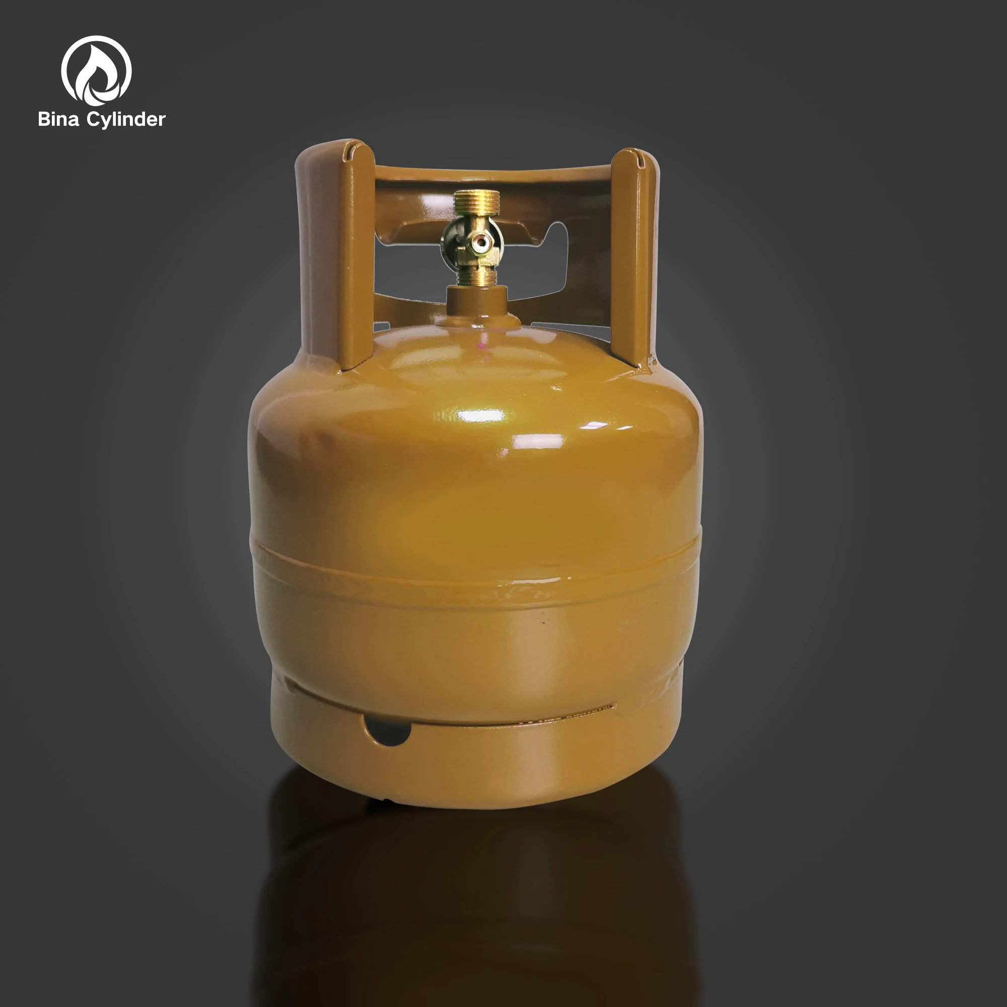 Bina 2kg small lpg gas tank/ lpg gas cylinder for cooking/camping
