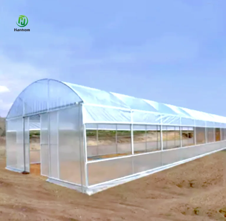 Cheap agricultural greenhouse for tomato cultivation