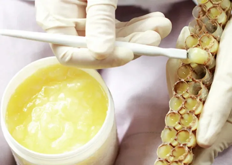 2.0% 10-HDA Organic Royal Jelly Fresh bee milk Pure Royal Jelly