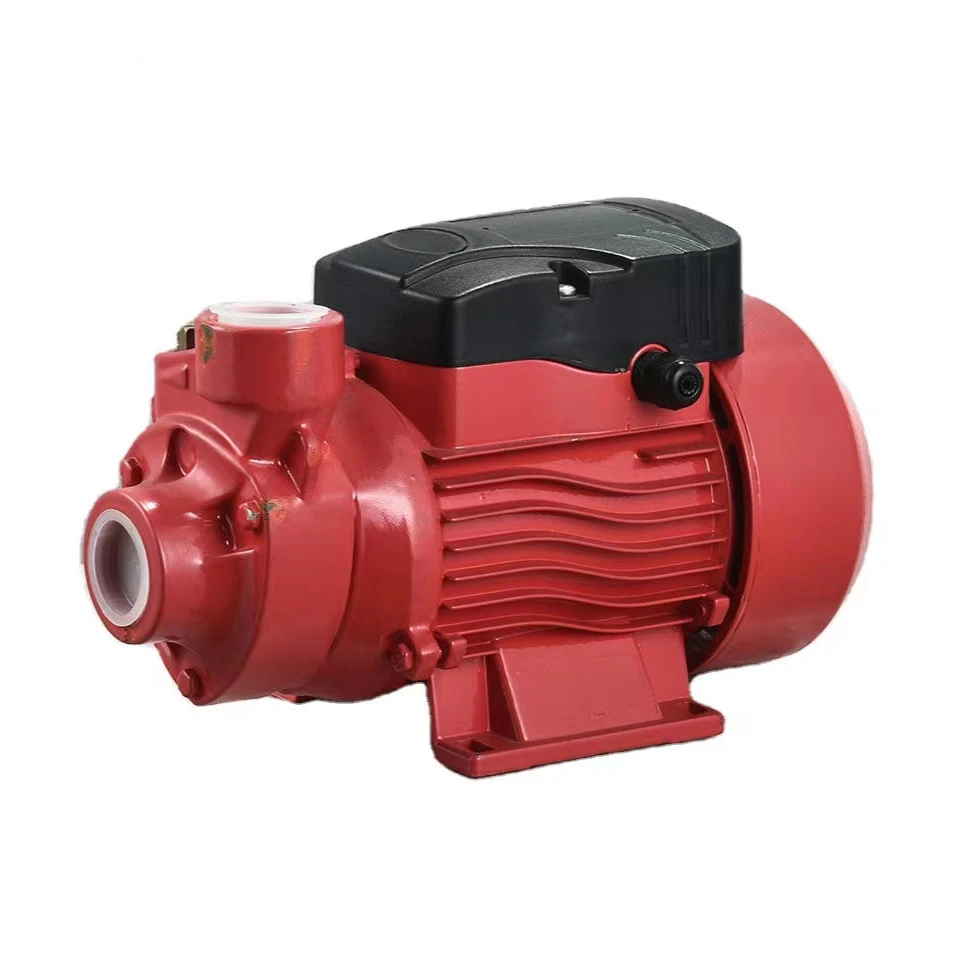 PKM-D Series Small Size Easy Installation Water Pump 370w 550w 750w 0.5hp 0.75hp 1hp Stainless Steel Self Priming Pump