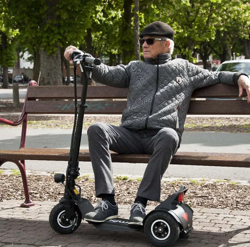 Light weight Folding Powerful Adult 3 wheel Electric Scooter  Motor 500M