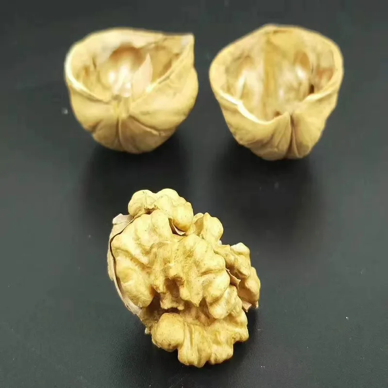 Organic Chinese Dried Fruit Walnuts in Shell New Crop
