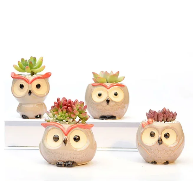 Garden Office Decoration Cactus Plants Planters Cute Owl Ceramic Flower Pot