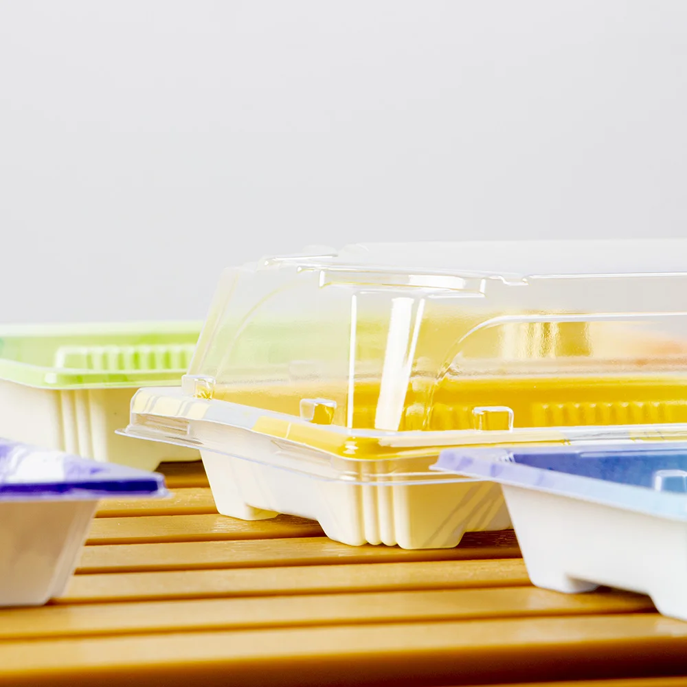 Hot sale Food Grade Disposable Sashimi Sushi Packing Box with Lid for Meal and Sushi