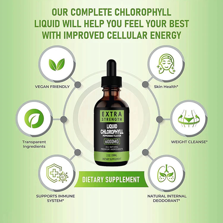 Wholesale Private Label Supplement Bulk 6000mg Organic Vegan Splina Water Mint Flavor Chlorophyll Liquid Drop