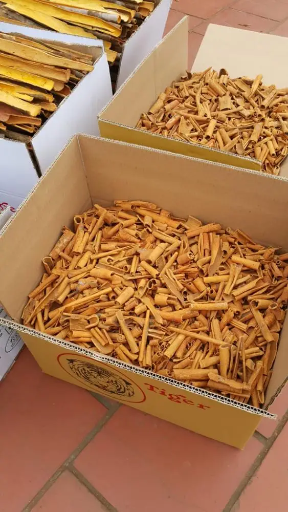 CINNAMON LONG STICK 50CM VIETNAM (WHATSAPP +84918616691)