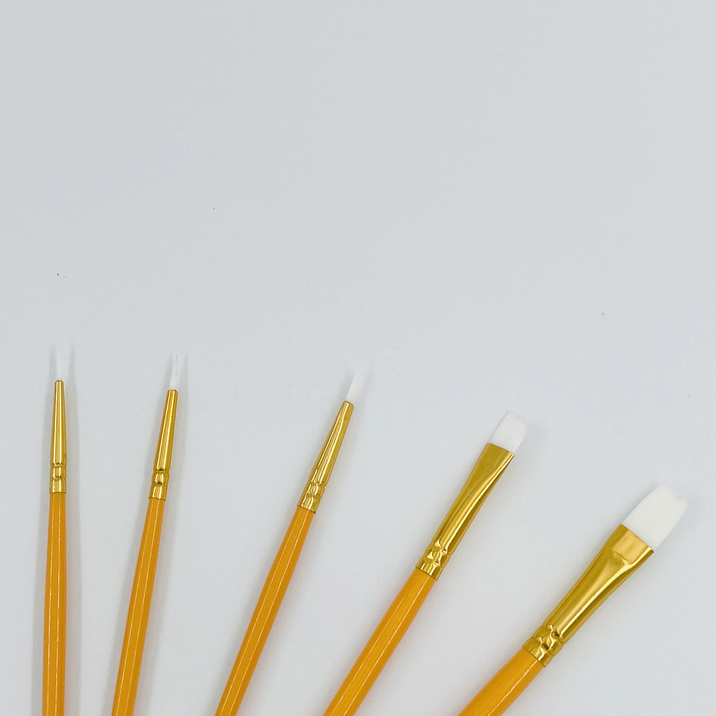 Hot Sale 5 pcs Artist Paint Brush Sets Various Hair Shape Wholesale Wooden Handle Paint Brush For Children School