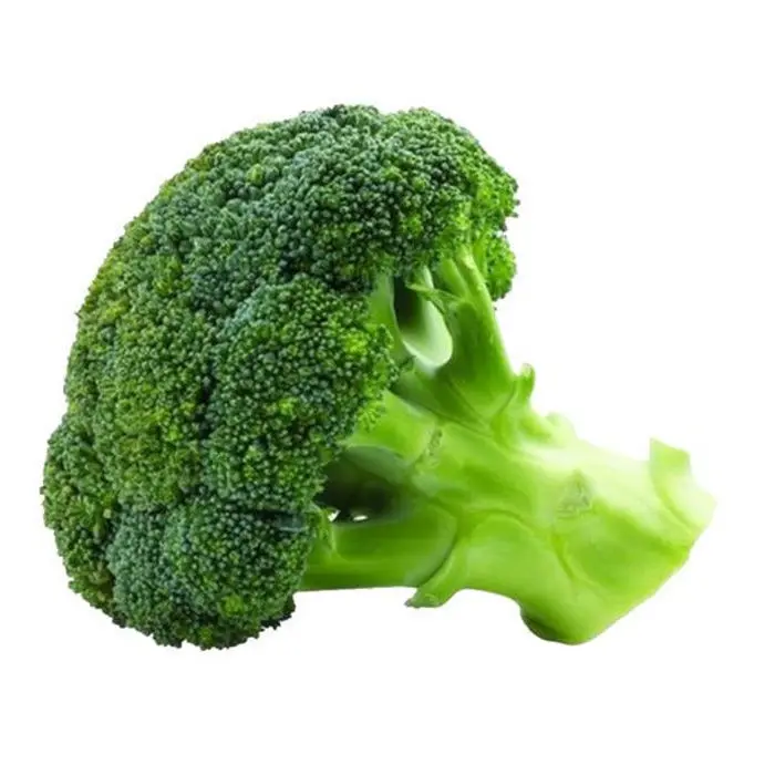 2022 Hot Sale High Quality No Frozen Healthy Natural Broccoli Farm Fresh Picking Broccoli