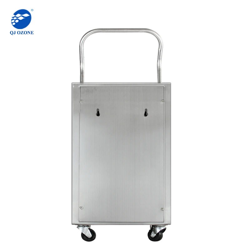 Commercial 5g Ozone Gas Generator Drinking Water Treatment Ozone Disinfection