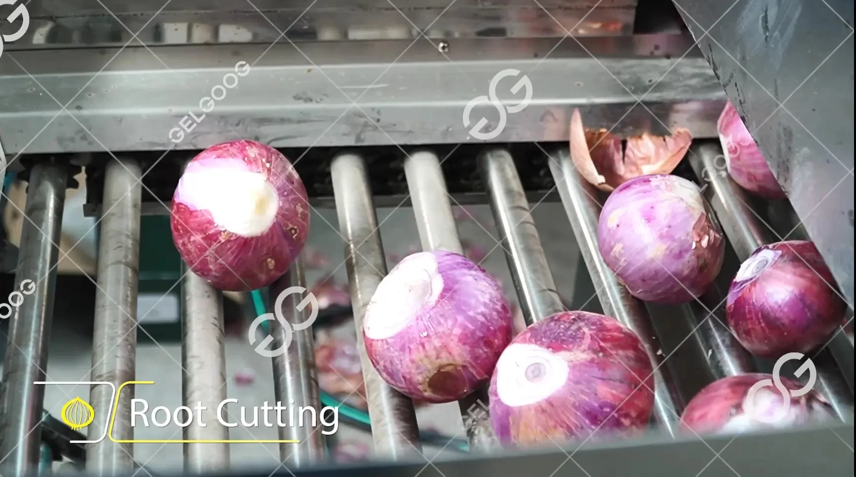 Buy Onion Peeling Machine Products Korea Singapore Electric Pickled Onion Peeling Machine Manufacturers In Coimbatore
