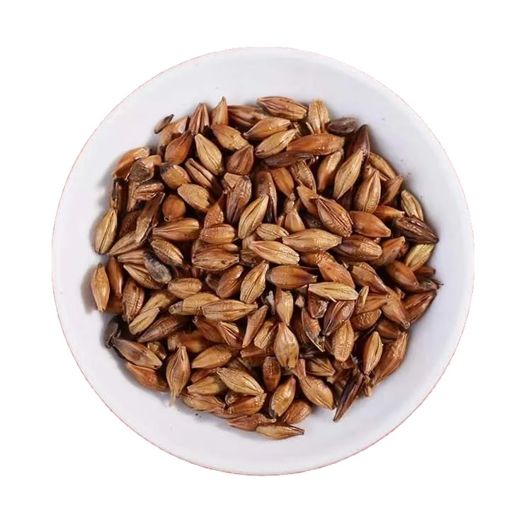 Healthy bulk roasted barley grain tea Organic beverage barley tea