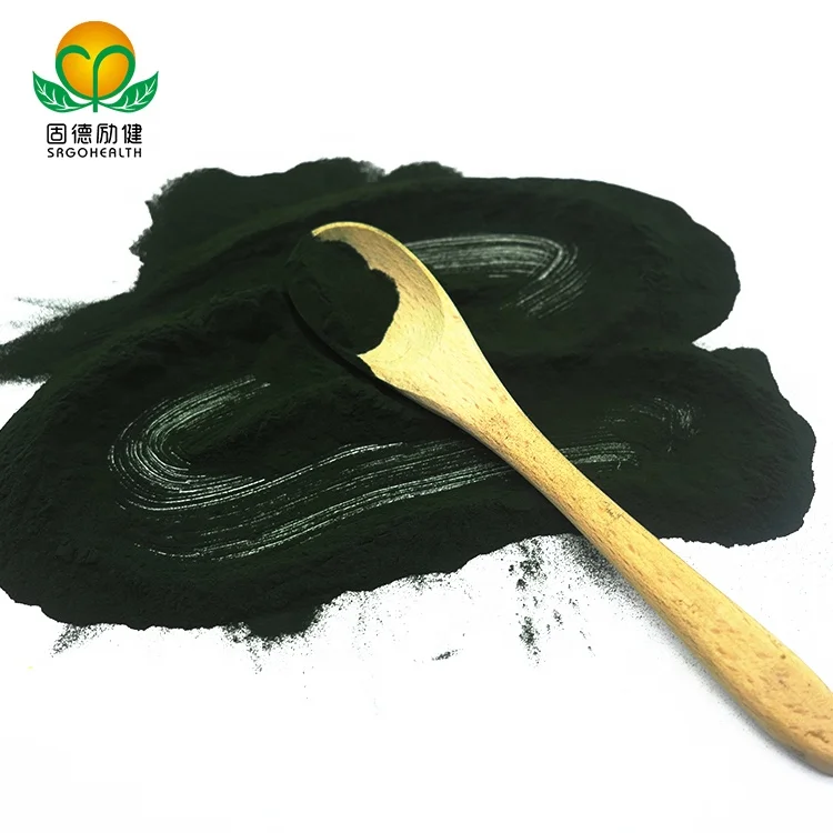 GMP Factory Supply Conventional Chlorella Powder