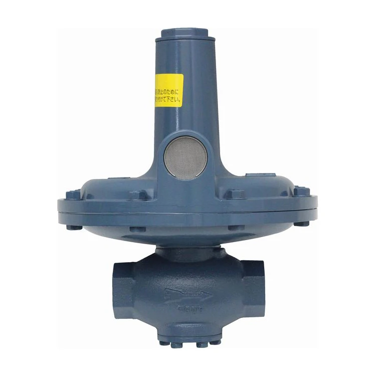 Japanese Industrial Furnace Rego Lv Lpg Gas Pressure Regulator