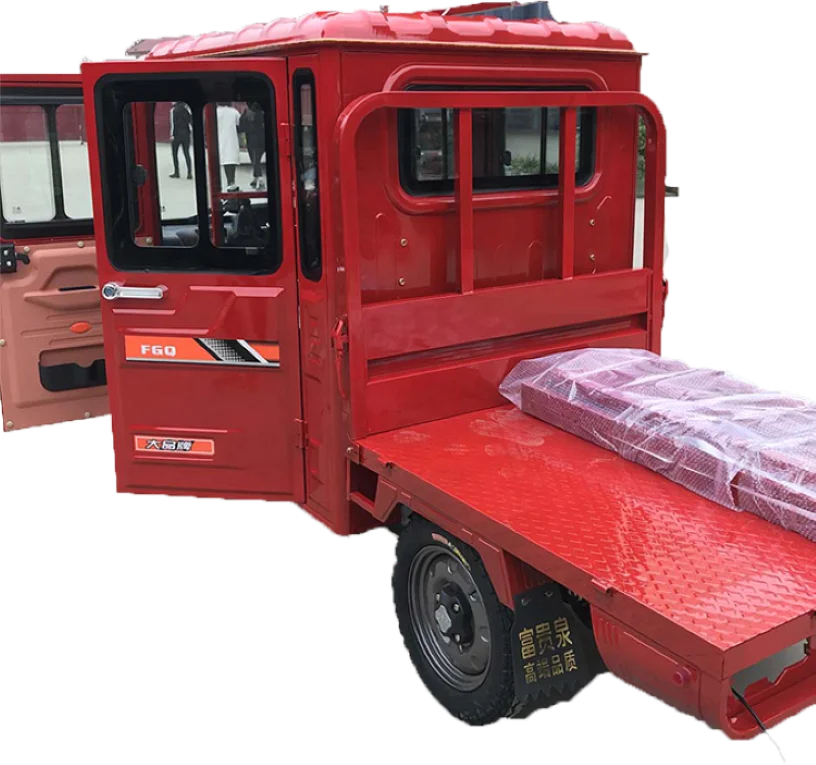 Hot Sell 2  Driver Cab and Hight Load Capacity Tricycle Enclosed Adult 3 Wheels E-rickshaw for Adult Electric Tricycle