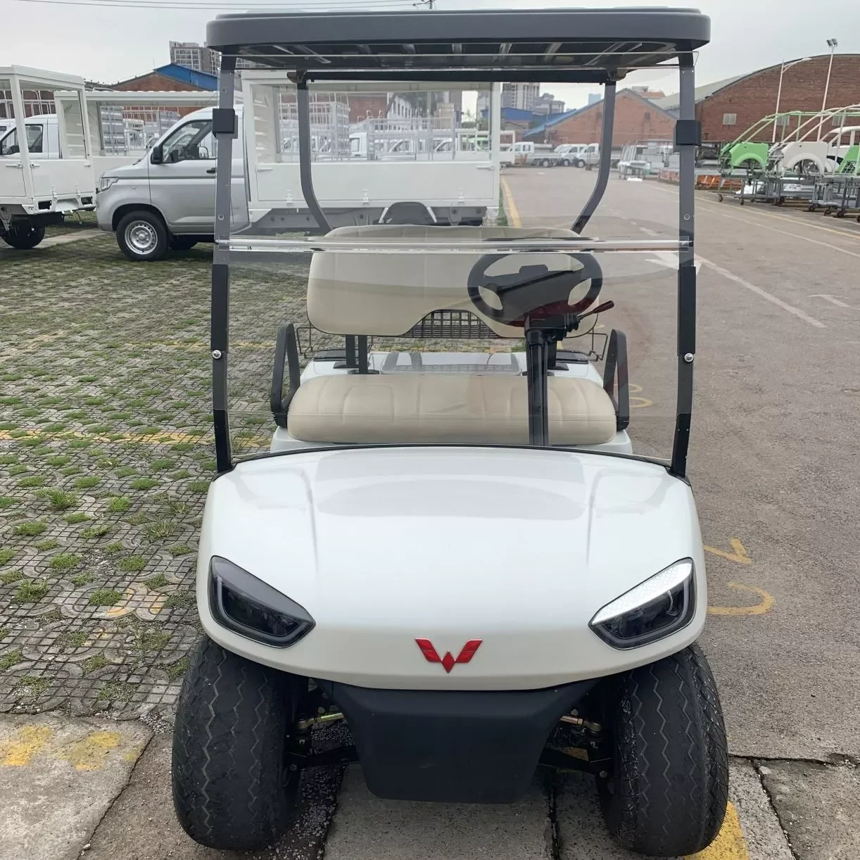 New 2 Seats Good Prices Electric Golf Cart Golf Car with CE Certification WLDT2A