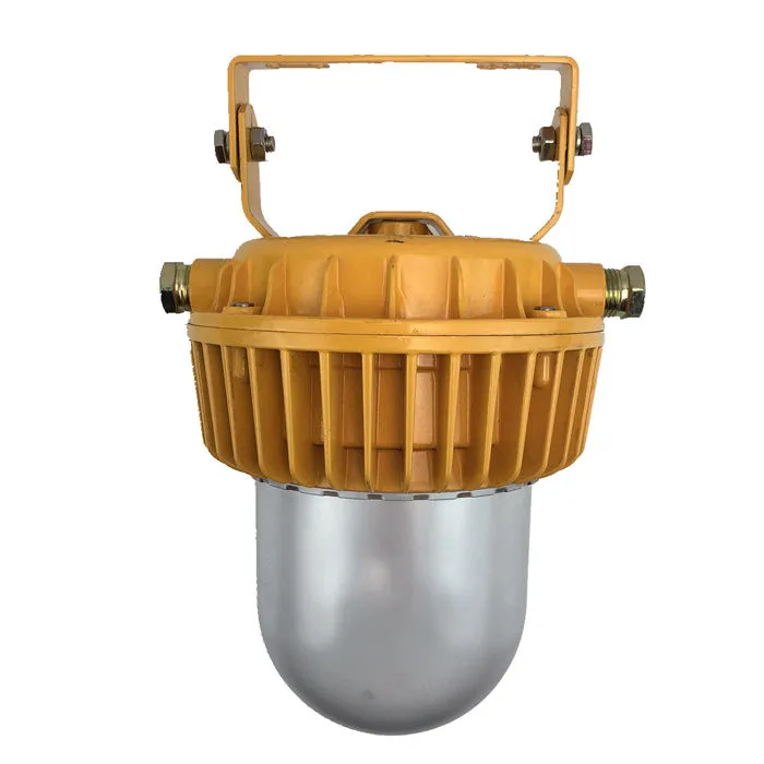 LEDUN 360 Degree Flood Illumination 60w, 80W Ip66 Atex Approved Explosion Proof Lights Manufacturer for Chemical Factory