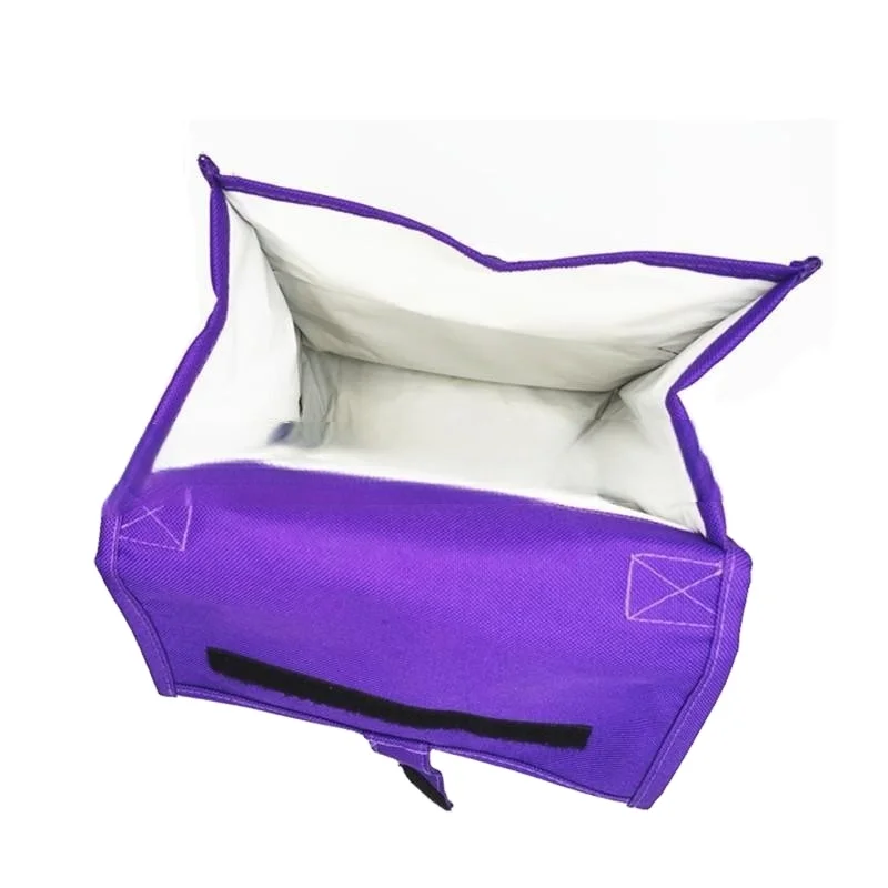Hot Sale Custom Printed Insulated Thermal Lunch Cooler Bag Hot & Cold Packs Promotion Cooler Bag