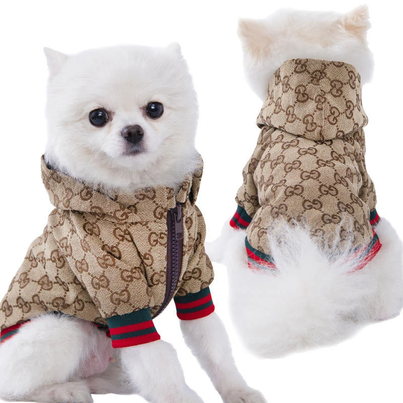 Wholesale Pet Clothes Fashion Popular Dog Winter Jacket Cat Dog Coat Dog Clothes Luxury For Puppy Teddy Hoodie