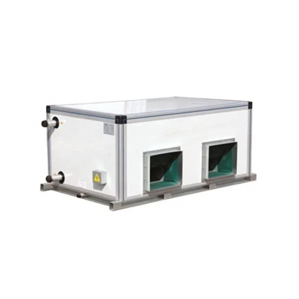 Ruidong Ceiling Type  Industrial air conditioner air handling unit AHU Chiller HVAC system