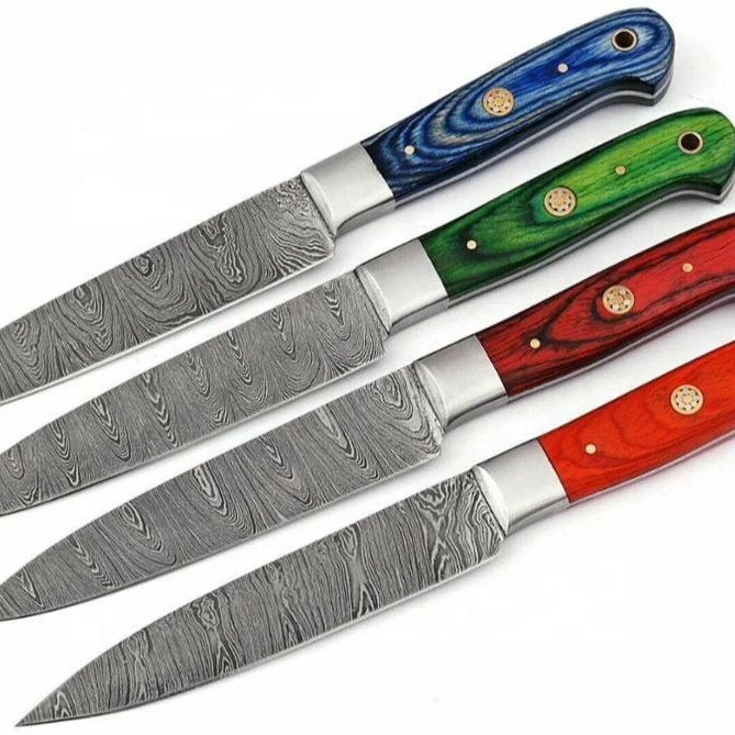 4 Pcs Matching 1081 Damascus steel Steak knife Set