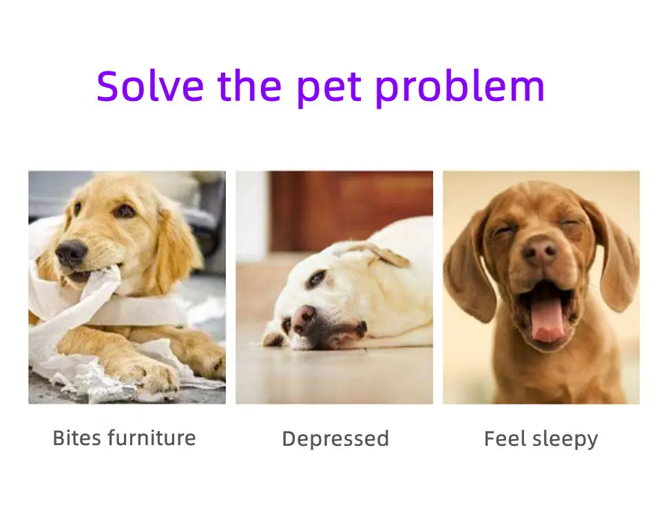 quick delivery Low MOQ custom color durable indestructible,  solid TPR floating strong chewing dog ball rubber ball/