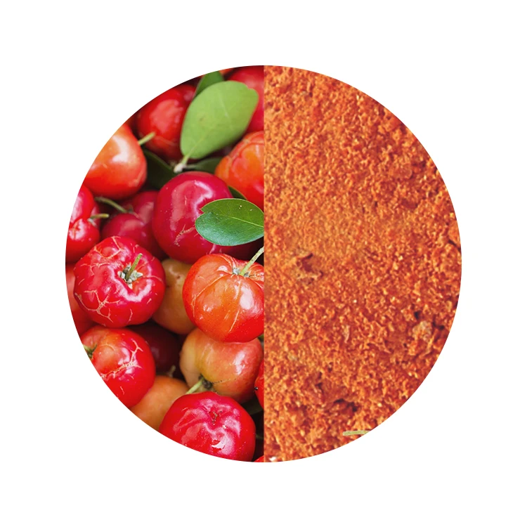 Pure Natural Acerola Fruit Extract Powder Vitamins And Herb Extract Dietary Supplements Powder