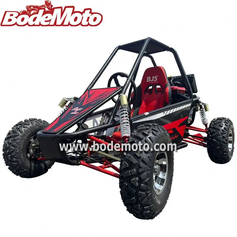 300cc adult professional racing go kart 200CC for Kids