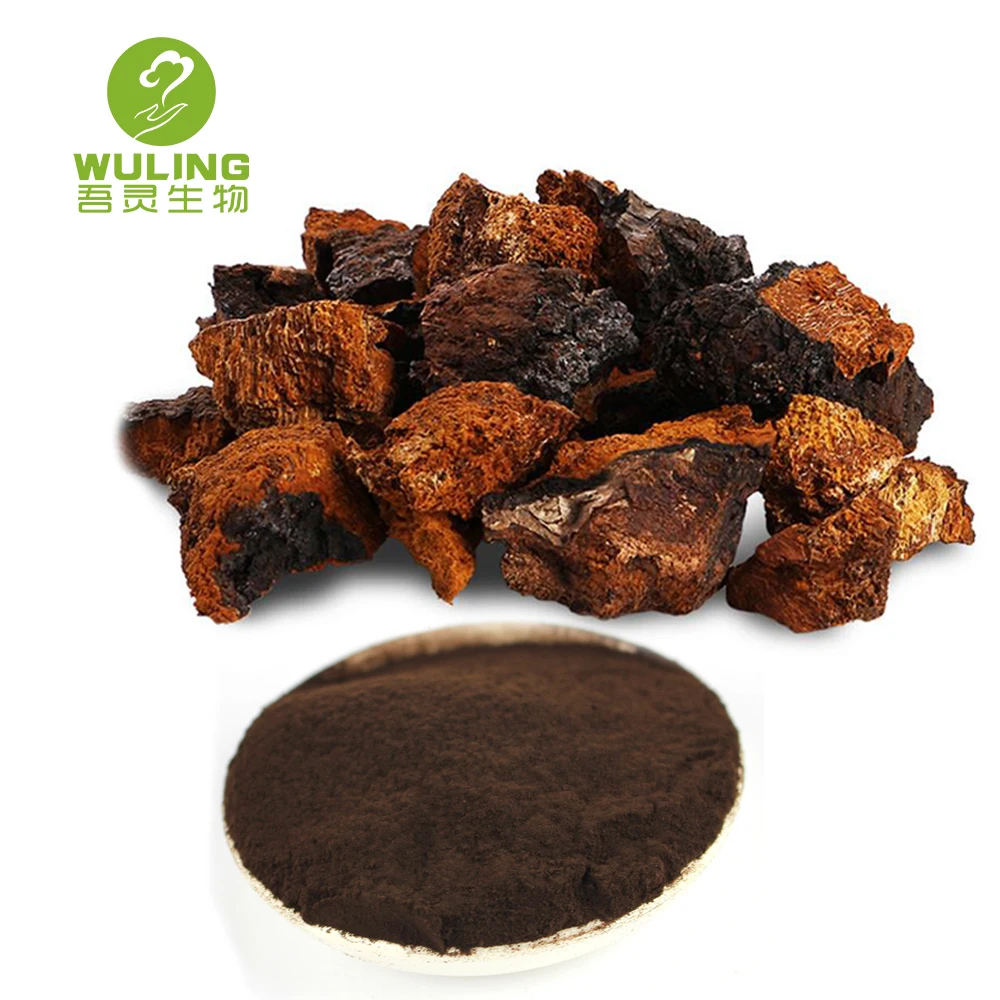 Порошок экстракта грибов Чаги от производителя